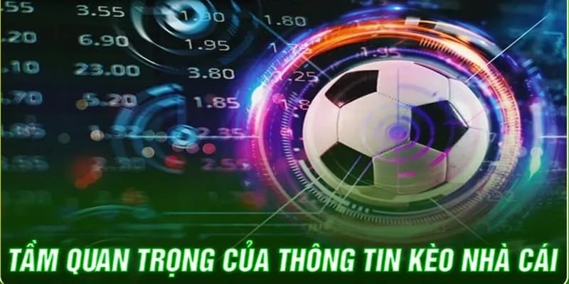 Tầm quan trọng của kèo nhà cái đối với người tham gia